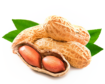 AMENDOIM Ingredientes Doces Carijós - Amendoim